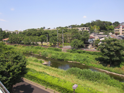 nogawa
