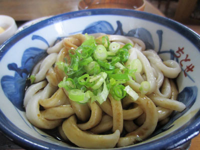iseudon