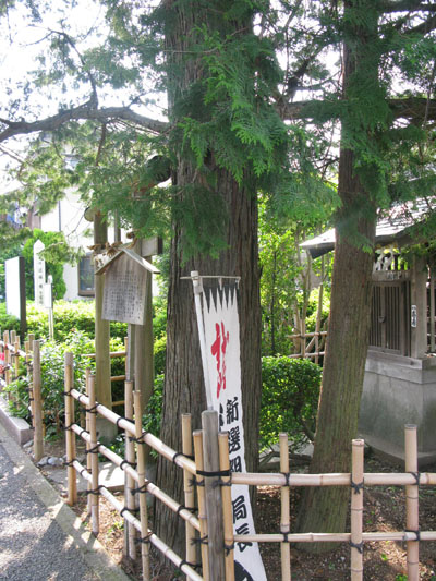 kondou2