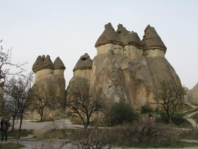 pasya3