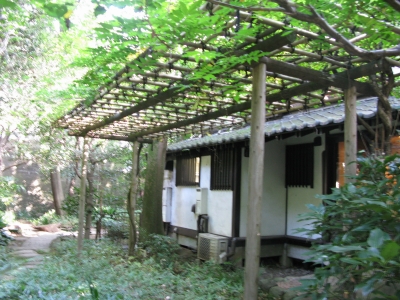cafe