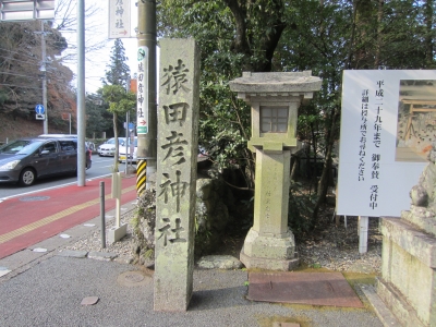 saru