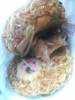 喜多方ラーメンバーガー