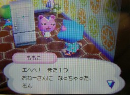 ももこの誕生日