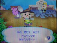 オニヤンマをゲット!