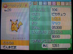 プレゼントを覚えたピカチュウ(その1)