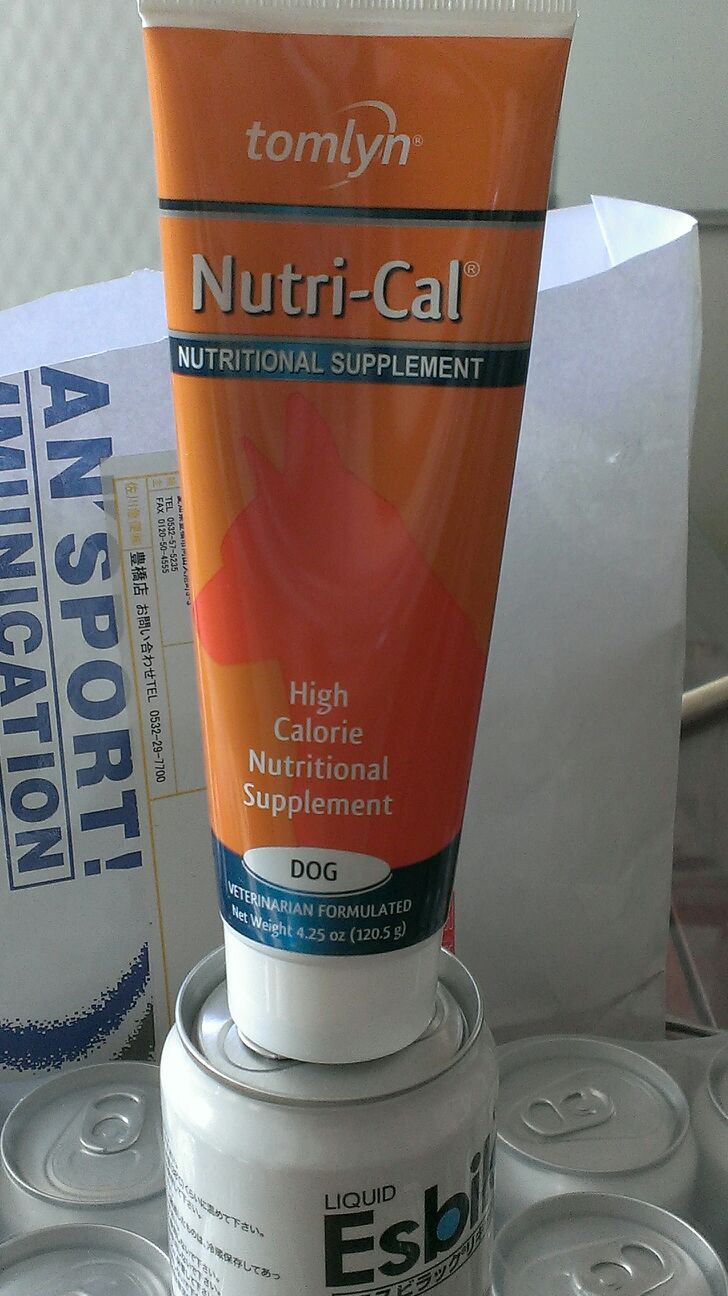 エルちゃん、休憩中 | MRS. MICHIKO TECKE