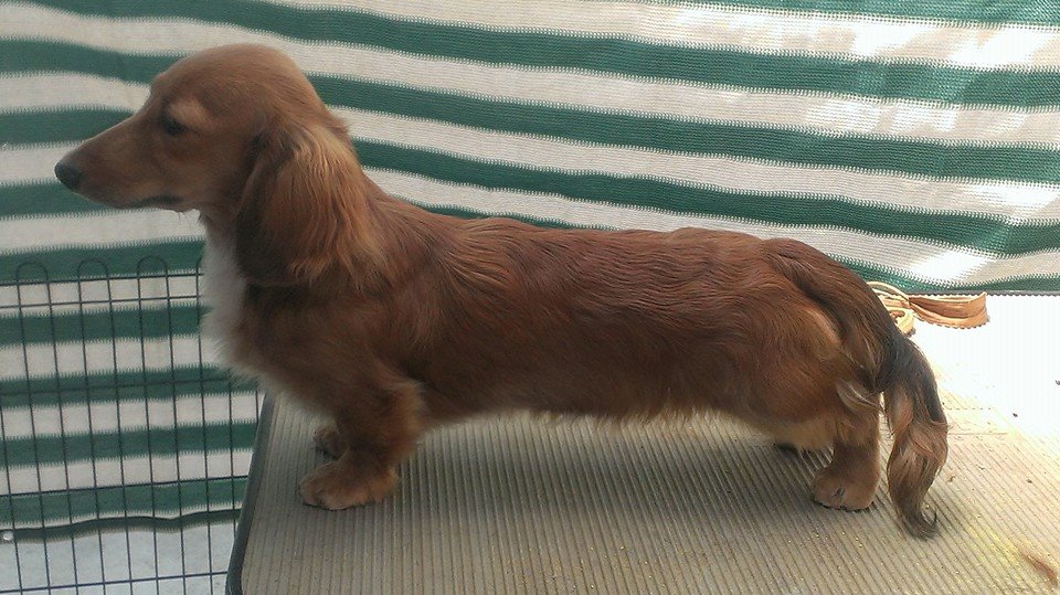 6ヶ月のスタック | MRS. MICHIKO TECKEL