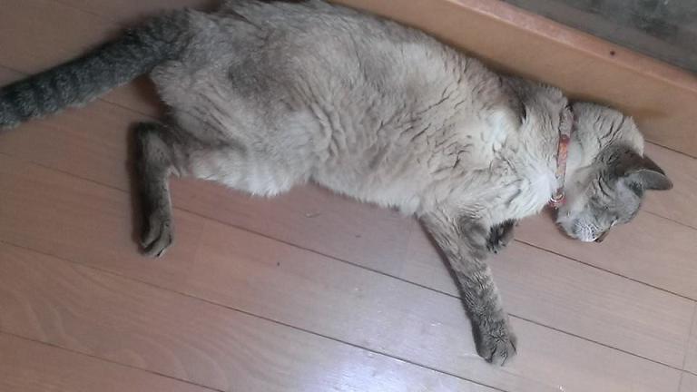 年长者お二人 | MRS. MICHIKO TECKEL