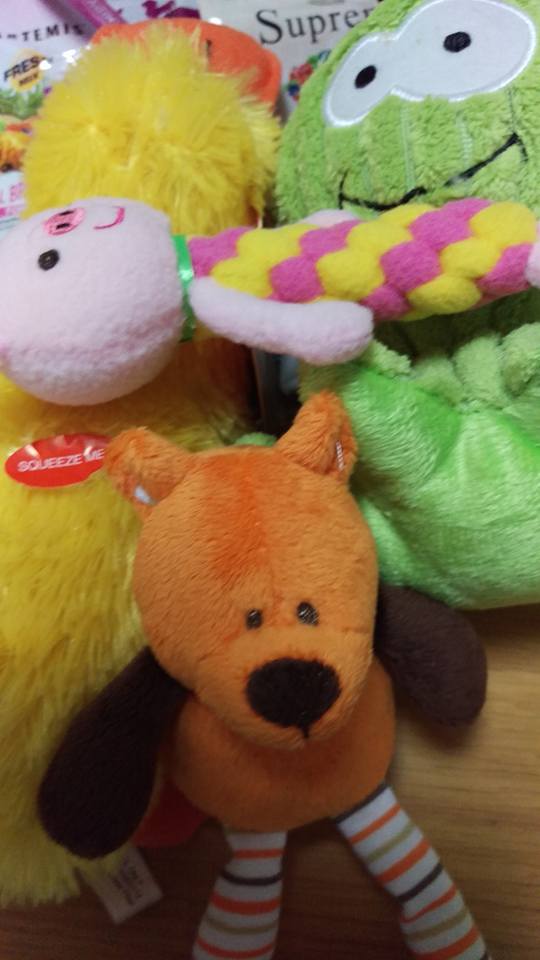 台风先日に | MRS. MICHIKO TECKEL