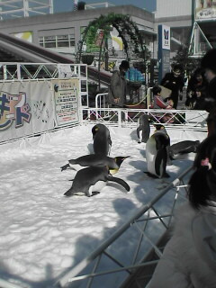 20061218_210923.jpg