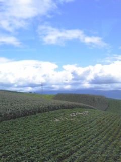 080809_1320~01.jpg