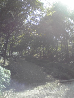091030_1151~01.jpg