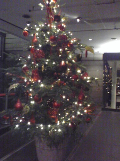091202_1831~01.jpg