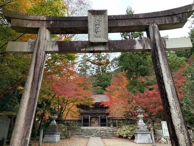 �����Ŀ��Ҥι��խ�