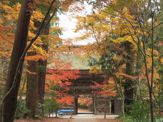 �����Ŀ��Ҥι��խ�