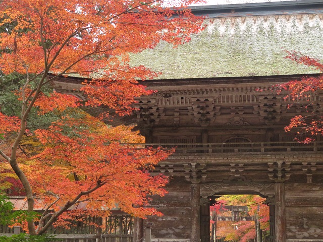 �����Ŀ��Ҥι��խ�