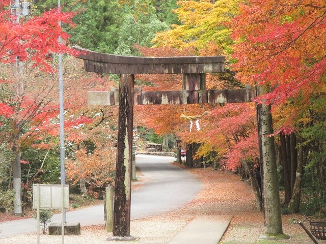 �����Ŀ��Ҥι��խ�