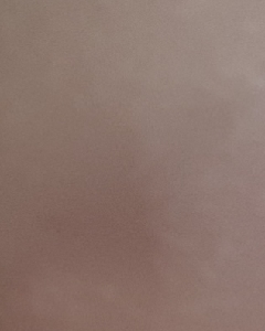 20180418