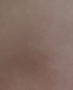 20180729