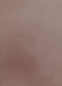 20180731