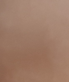 20190104