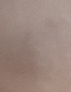 20190131
