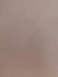 20190202