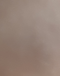 20190203