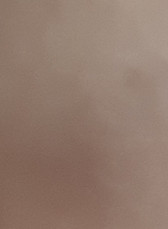 20190204