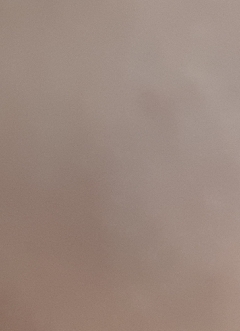 20190205