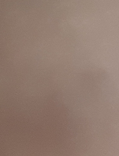 20190206