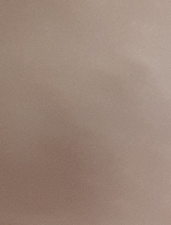 20190208