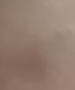 20190209