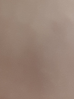 20190210