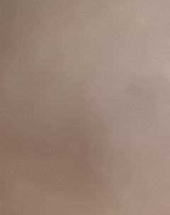 20190211