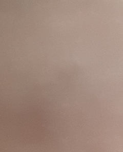 20190212