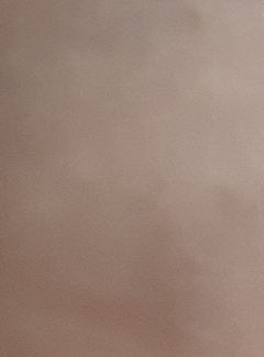 20190213