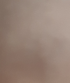 20190217