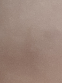 20190219