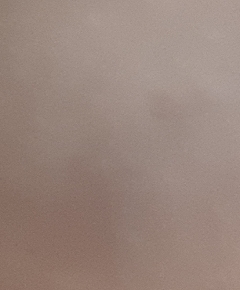 20190220
