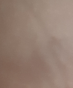 20190226