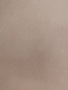 20190303