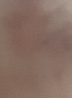 20190305