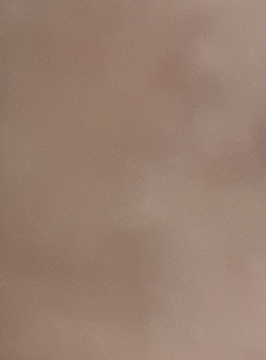 20190306