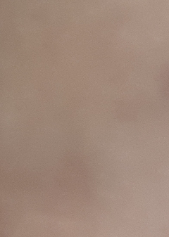 20190307