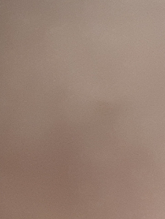 20190312