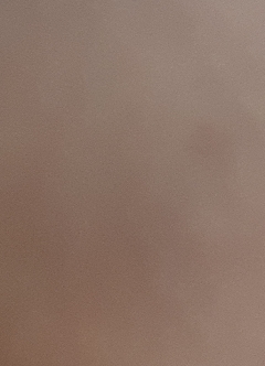 20190313