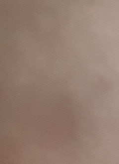 20190316
