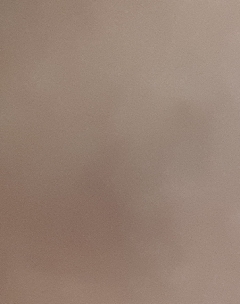 20190318